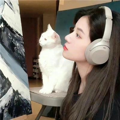 一号动态画